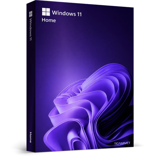 Windows 11 Pro